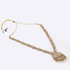 Gold plated long kundan necklace & Earring set